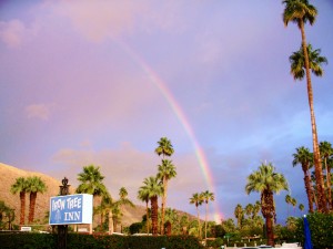 Iron Tree sign rainbow